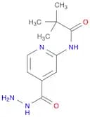N-(4-HYDRAZINOCARBONYL-PYRIDIN-2-YL)-2,2-DIMETHYL-PROPIONAMIDE