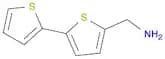 2,2'-Bithiophene-5-methylamine