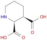2,5-Dibromopiperidine