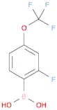 2-Fluoro-4-trifluoromethoxyphenylboronic acid