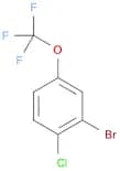 2-Bromo-1-chloro-4-(trifluoromethoxy)benzene