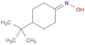 4-(tert-butyl)cyclohexanone oxime