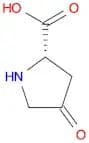 4-Oxo-L-proline
