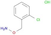 1-[(Ammoniooxy)methyl]-2-chlorobenzene chloride
