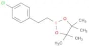 2-(4-Chlorophenyl)ethylboronic acid pinacol ester