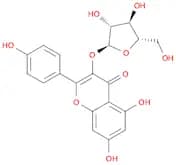 Kaempferol 3-arabinofuranoside