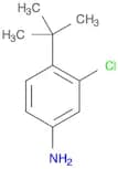 4-tert-butyl-3-chlorobenzenamine