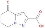 4-oxo-4H,5H,6H,7H-pyrazolo[1,5-a]pyridine-2-
carboxylic acid