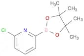 6-Chloropyridine-2-Boronic Acid Pinacol Ester