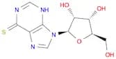 6-MERCAPTOPURINE RIBOSIDE
