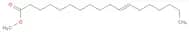 trans-11-Octadecenoic acid methyl ester