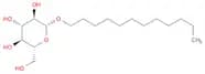 N-Dodecyl-β-d-glucopyranoside