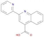 2-Pyridin-2-yl-quinoline-4-carboxylic acid