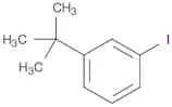 1-IODO-3-TERT-BUTYLBENZENE