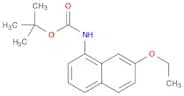 tert-Butyl 7-ethoxynaphthalen-1-ylcarbamate