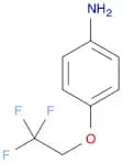 4-(2,2,2-Trifluoroethoxy)aniline