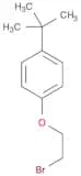 1-(2-bromoethoxy)-4-tert-butylbenzene