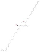 C14 Dihydroceramide