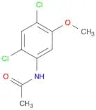 N-(2,4-Dichloro-5-methoxyphenyl)acetamide
