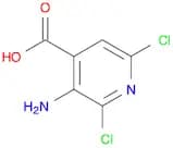 3-Amino-2,6-dichloropyridine-4-carboxylic acid