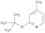 2-(tert-Butoxy)-4-methylpyridine
