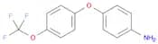 4-[4-(trifluoromethoxy)phenoxy]aniline