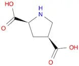 L-CIS-PYRROLIDINE-2,4-DICARBOXYLIC ACID