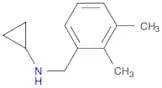 N-(2,3-Dimethylbenzyl)cyclopropanamine