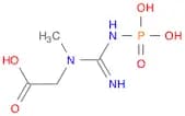 2-(3-methyl-1-phosphonocarbamimidamido)acetic acid