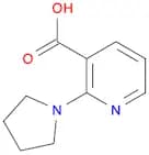 2-(pyrrolidin-1-yl)pyridine-3-carboxylic acid