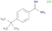 4-tert-Butylbenzenecarboximidamide hydrochloride