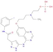 5-[[7-[3-[ethyl[2-(phosphonooxy)ethyl]amino]propoxy]-4-quinazolinyl]amino]-N-(3-fluorophenyl)-1H-p…