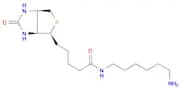 N-Biotinyl-1,6-hexanediamine