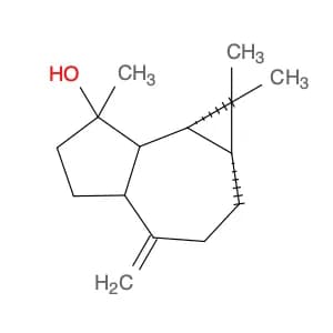 spathulenol,(+)-spathulenol,espatulenol