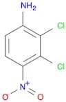 BENZENAMINE, 2,3-DICHLORO-4-NITRO-