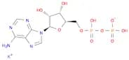 Adenosine 5'-(trihydrogen diphosphate), monopotassium salt