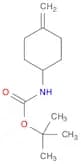 Carbamic acid, (4-methylenecyclohexyl)-, 1,1-dimethylethyl ester (9CI)