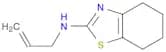 N-ALLYL-4,5,6,7-TETRAHYDRO-1,3-BENZOTHIAZOL-2-AMINE