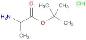 tert-Butyl 2-aminopropanoate hydrochloride