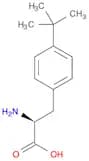 L-4-TERT-BUTYL-PHE