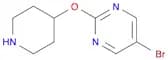 5-Bromo-2-(piperidin-4-yloxy)pyrimidine