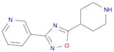 3-(5-Piperidin-4-yl-1,2,4-oxadiazol-3-yl)pyridine