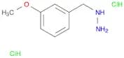 (3-Methoxybenzyl);hydrazine dihydrochloride