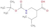 (R,S)-2-Isobutyl-3-(boc-amino)propanoic acid