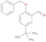 Benzaldehyde, 5-(1,1-diMethylethyl)-2-(phenylMethoxy)-