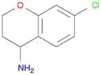 7-chloro-3,4-dihydro-2H-chroMen-4-aMine