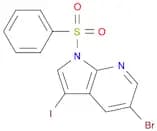 1H-Pyrrolo[2,3-b]pyridine, 5-broMo-3-iodo-1-(phenylsulfonyl)-