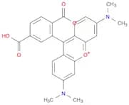 6-Carboxytetramethylrhodamine