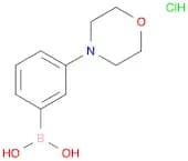 3-(Morpholino)phenylboronic acid hcl