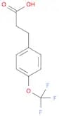 4-(Trifluoromethoxy)hydrocinnamic acid